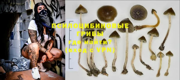 дмт Абинск